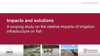 CottonInfo webinar: Things we can do to minimise fish entrainment