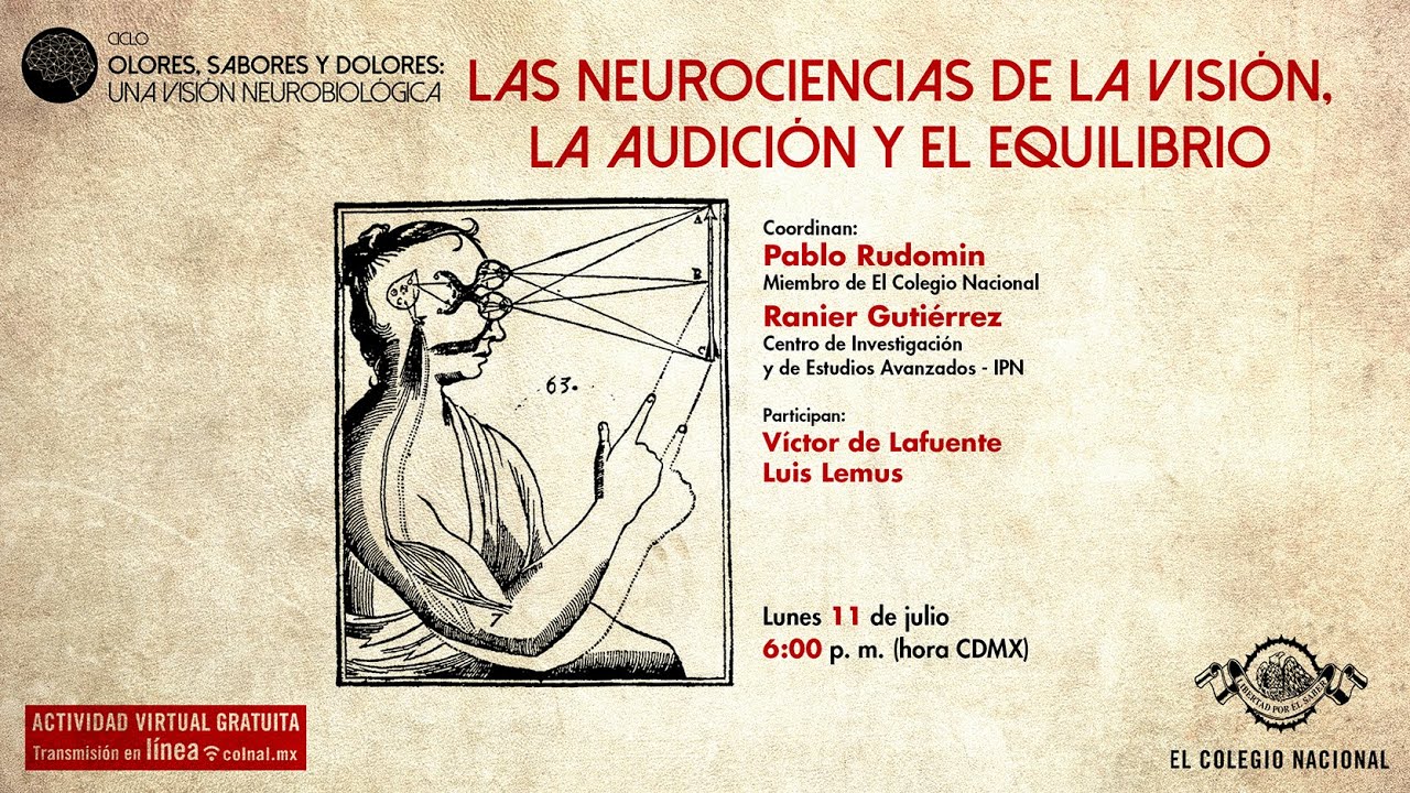 Las neurociencias de la visión, la audición y el equilibrio