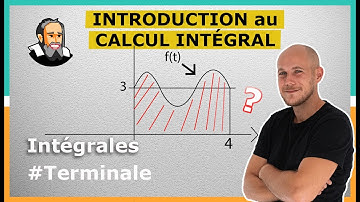 Le Calcul INTÉGRAL : Quésaco ? - Exercice Corrigé - Terminale