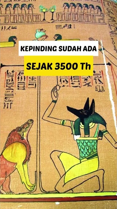 Fakta Unik Kepinding (Tumila/Kutu Busuk)