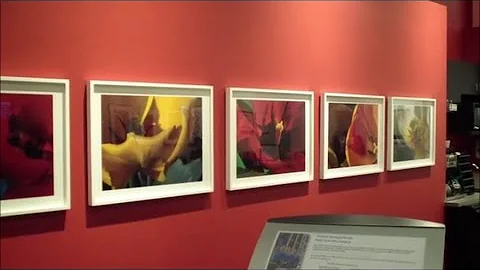 BERKELEY GALLERY - Sandra Gottlieb