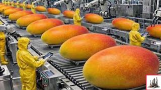 “How Mangoes Are Processed at Industrial Scale | Ultra-Real Factory Documentary”