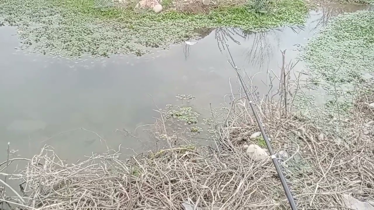 Kanalga albatta obuna boʻling 🎣🎣🎣👍👍🇺🇿🇺🇿🇺🇿