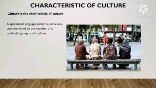 PHILO 101 Chapter 2 Lesson 2- Culture : The Meaning, Characteristics and Functions