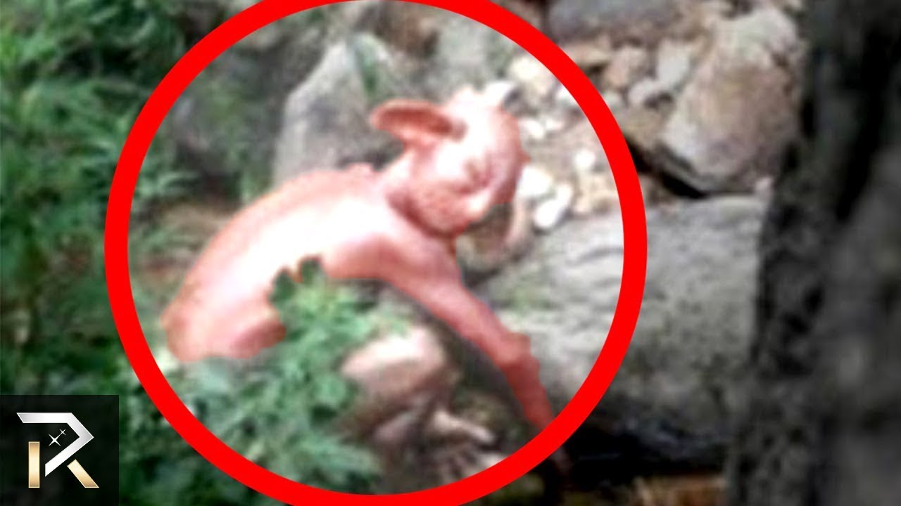 Mysterious Creatures Spotted & Caught On Camera - YouTube.