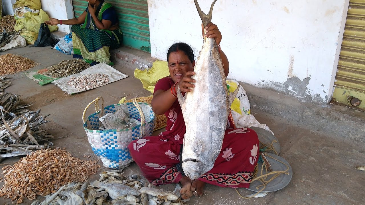 Village Style Dry Fish Market | Dry Fish Curry | Village Style Dry Fish Curry | Street Food | Street Food Catalog