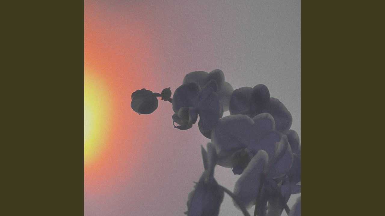 Watch Burning Willow on YouTube Watch Burning Willow on YouTube