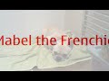 Mable French Photo 4