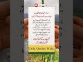 سورہ الرحمن میں اللہ تعالی کن 3 چیزوں کا ذکر کرتا ہے Youtubeshorts Video Youtube Quotes Allah سورہ الرحمن میں اللہ تعالی کن 3 چیزوں کا ذکر کرتا ہے Youtubeshorts Video Youtube Quotes Allah