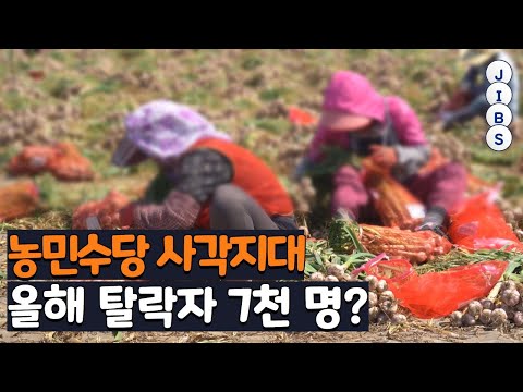 농민수당 사각지대...올해 탈락자 7천 명? / JIBS / 제주 / 2022.06.16