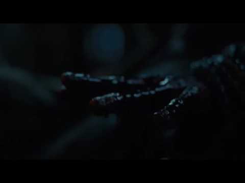 Ramsey eaten alive by dogs - Game of Thrones S06E09