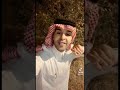 وش يسوي صوت المطر في عقلك 