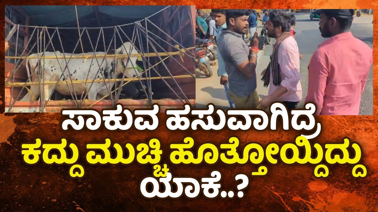 ಹಸು ಸಾಗಾಣೆ, ಹಿಡಿದ ಸಾರ್ವಜನಿಕರು, ಕದ್ದು ಮುಚ್ಚಿ ಹೊತ್ತೋಯ್ದಿದ್ದು ಯಾಕೆ ..?