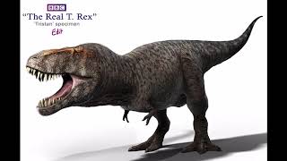 Sound Effects - Tyrannosaurus Rex Custom, V1