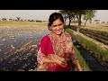 Mari mahnat ka phal mil gaya pakistani family vlog  pakistani fatima 