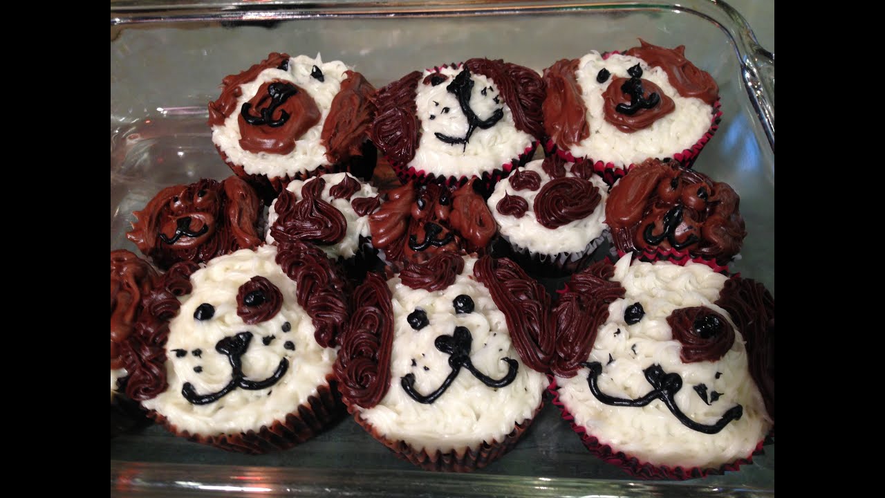 SPCA National Cupcake Day Fundraiser SPCA National Cupcake Day Fundraiser