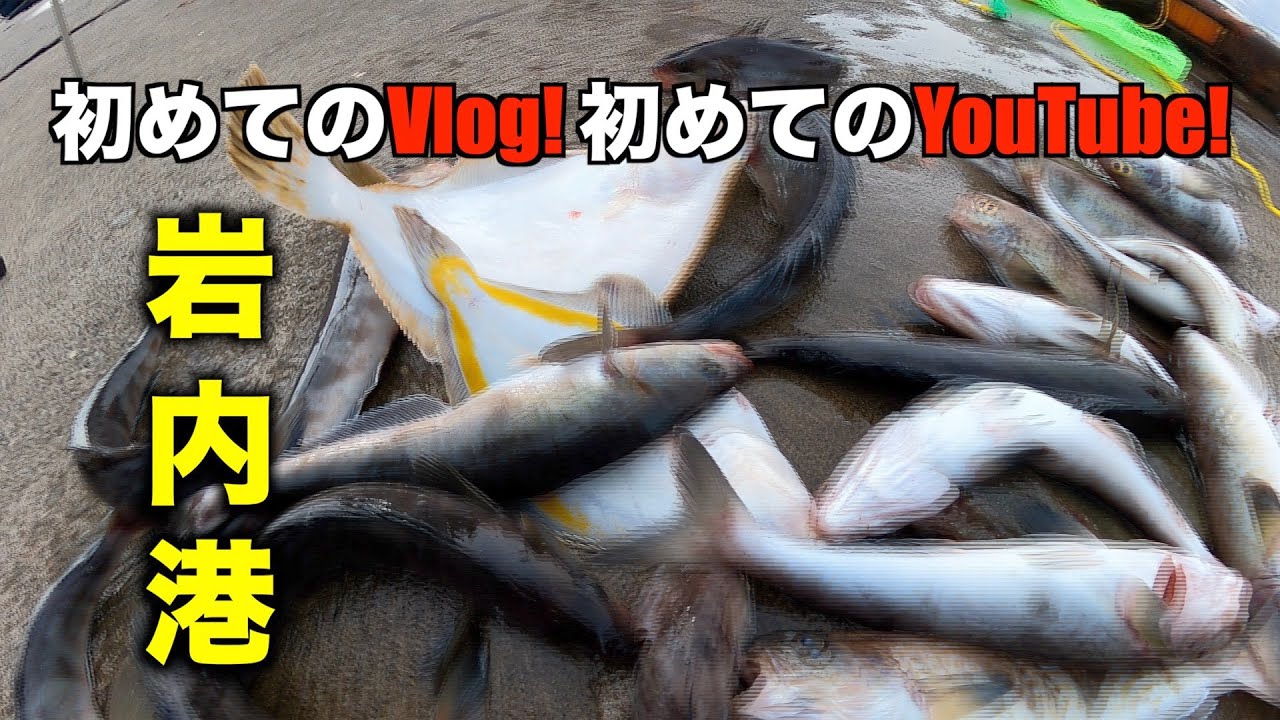 初めてのVlog 初めてのユーチューブ　岩内港でホッケ釣り　#1