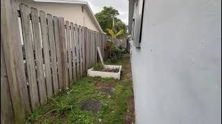 Pet turf paradise on way  screenshot 5