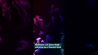Meditation🧘🏻‍♂️Space Music Jellyies🪼 will bring peaceful mind #relaxing #meditation #jellyfish