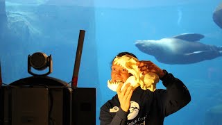 Telequarium: Marvelous Marine Mammals!