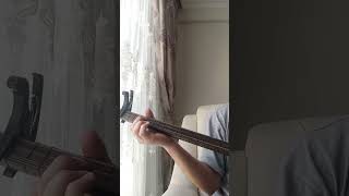 Kurtlar Vadisi Acem Kızı