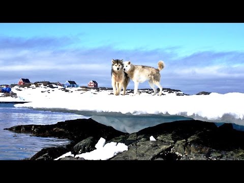 Grönland Expeditionen & Nordpol Reisen mit dem Segelschiff