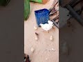 12 نوفمبر 2020 12 نوفمبر 2020