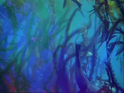 The Essence Jesper Dahlback Remix (video by Drule).wmv adlı videoyu YouTube'da izle The Essence Jesper Dahlback Remix (video by Drule).wmv adlı videoyu YouTube'da izle