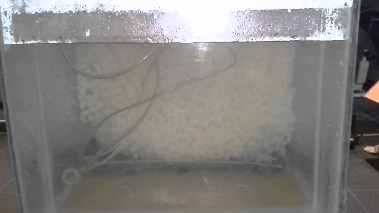 DIY moving bed filter Testing YouTube