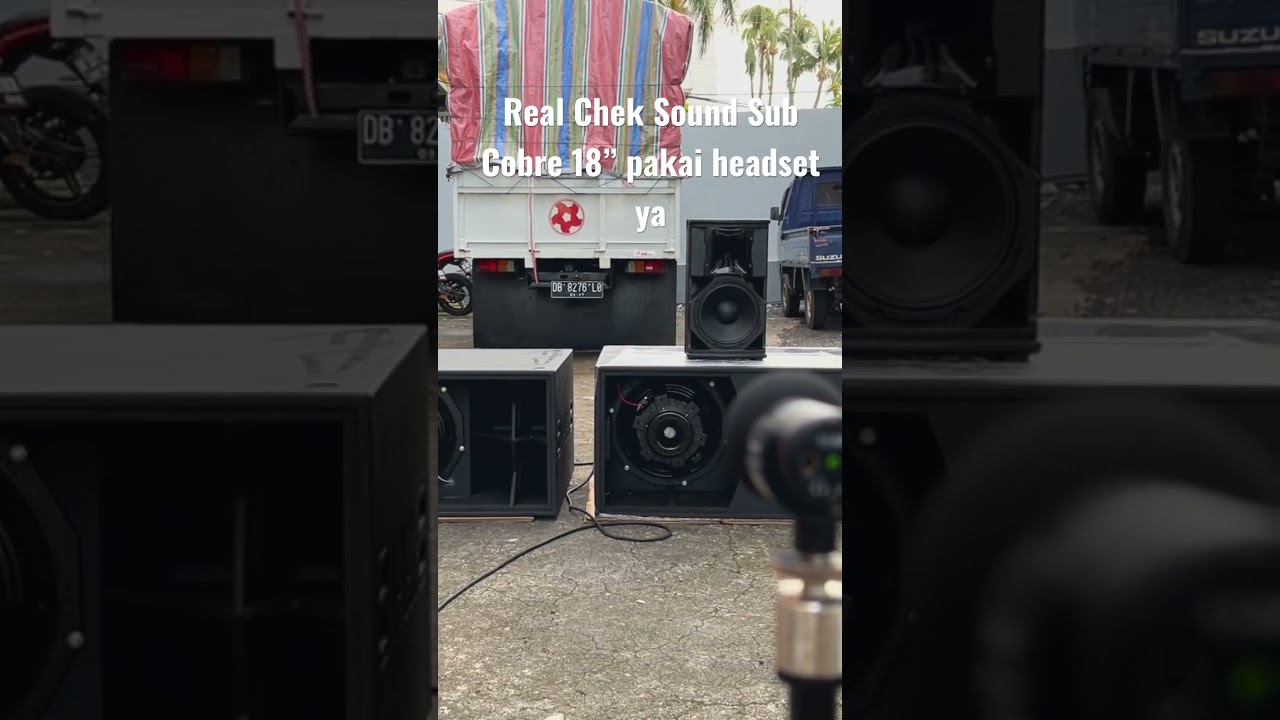 Chek Sound Cobre 18” 