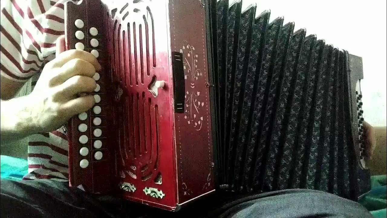 разборы под гармонь