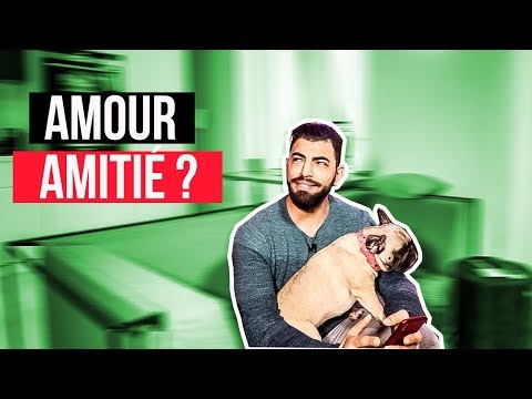 Vidéo: Comment Distinguer L'amour De L'amitié