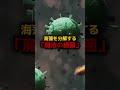 我々日本人だけが持っているヤバすぎる特徴三選 #プチ知識#雑学