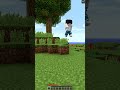 La Trappola letale su Minecraft…