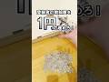 1円に部屋が侵食される!2 #罰ゲーム #1円 #お金 #vtuber #ミツゲツ