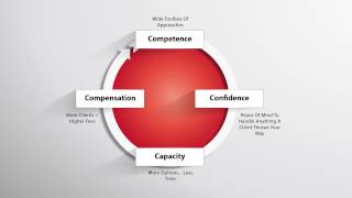 Tips on Sustaining Success as a Consultant The Four C s to the C-Suite