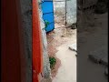 معانات النازحين السوريين في المخيمات حسبنا الله وهو نعم الوكيل