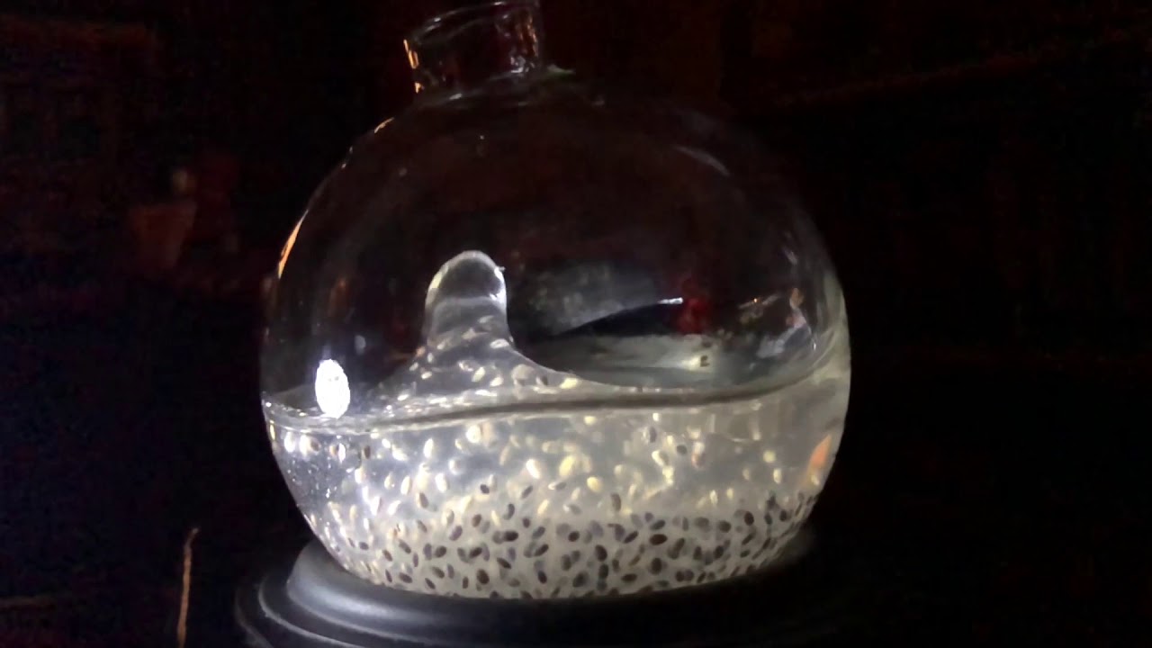 3D cymatics in chia water