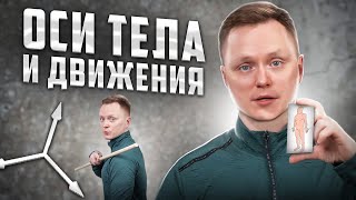 картинка: Оси тела и движения
