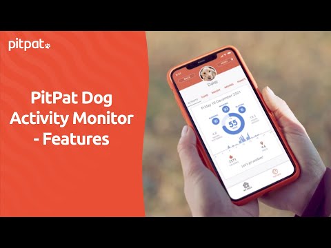 PitPat Dog Activity Monitor - Features