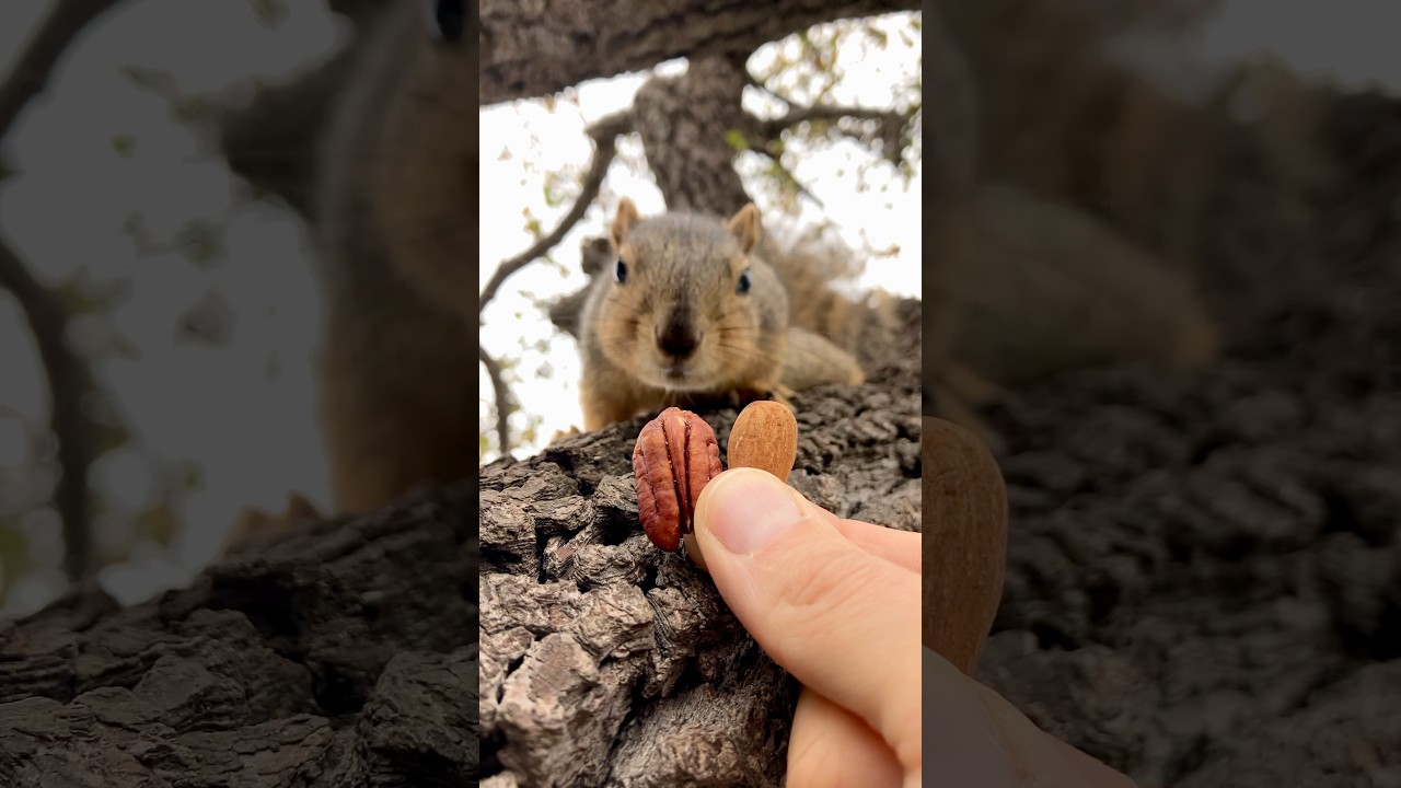 Squirrel Fishing with a new Baby Squirrels 