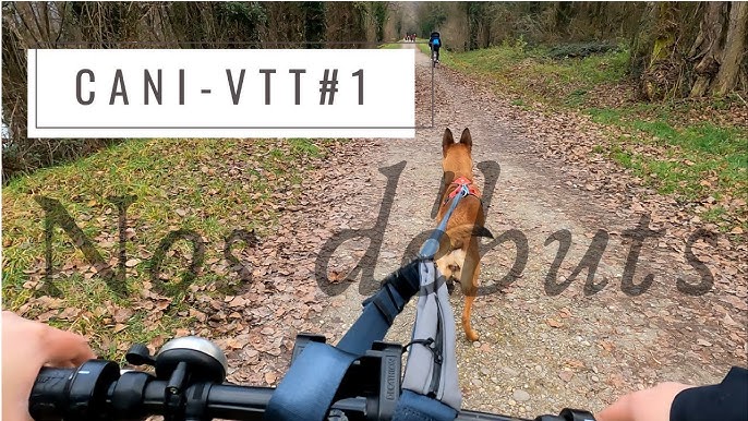 Inlandsis Bikejor Max U long - barre cani-VTT