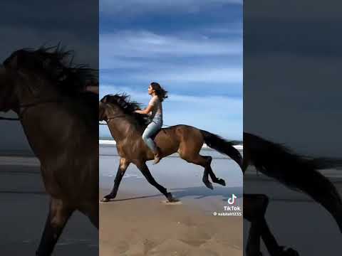 حبيبي يلا تعى لي ريح بالي أنا
