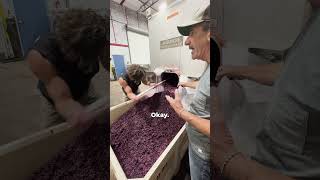 Master Sommelier Reveals Biggest Problem With Most Winemakers