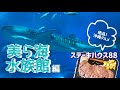 【沖縄】美ら海水族館/梅雨の沖縄旅行/ステーキハウス88/50代夫婦旅