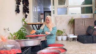 معجون طماطم🍅في البيت وبالخلاط  انضف وأسهل من الجاهز بمليون مرة🍅