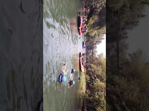 Vania Ayu Rafting di sungai Elo