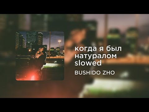 BUSHIDO ZHO - когда я был натуралом (slowed+reverb)