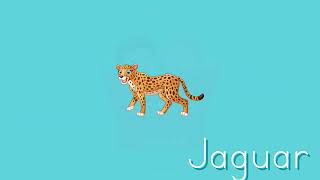 J Sesi - J Harfi - Cepa Okulöncesi Yayınları