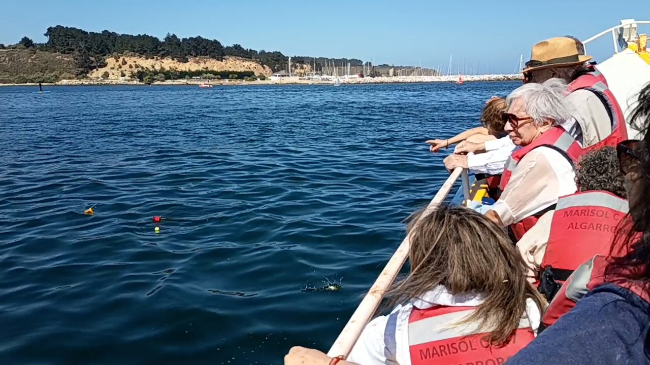 DESPEDIDA PATO EN ALGARROBO mp4